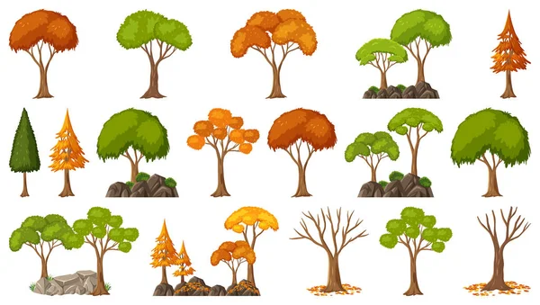 Uppsättning Fyra Säsonger Träd Vit Bakgrund Illustration — Stock vektor