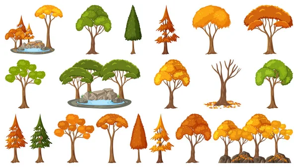 Set Four Seasons Trees White Background Illustration — Stock Vector