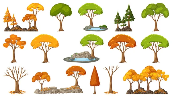 Set Von Vier Jahreszeiten Bäume Auf Weißem Hintergrund Illustration — Stockvektor