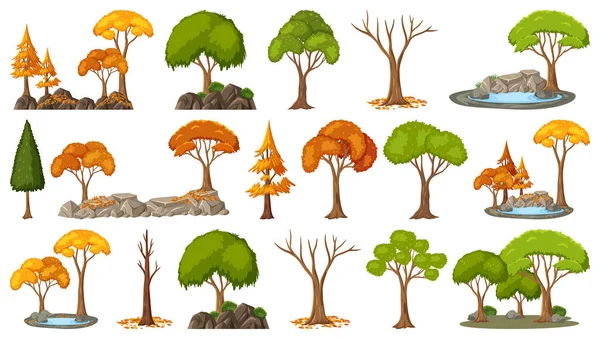 Set Four Seasons Trees White Background Illustration — Stock Vector