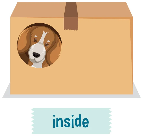 Prepostion Wordcard Design Dog Box Illustration — стоковый вектор