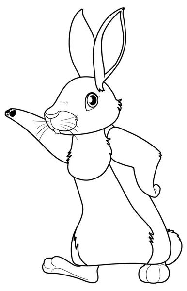 Esboço Rabbit Doodle Para Ilustração Coloração — Vetor de Stock