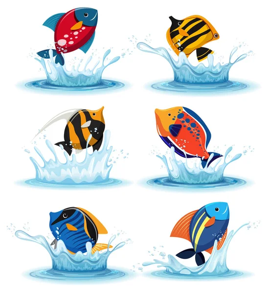 Set Different Beautiful Fishes Illustration — Stock Vector