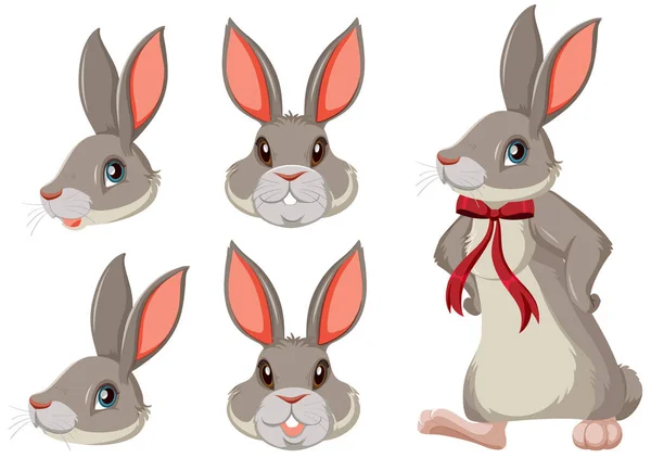 Set Gray Bunny Red Ribbon Illustration — Stock Vector