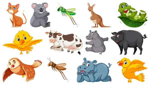 Набор Иллюстраций Отдельных Животных — стоковый вектор