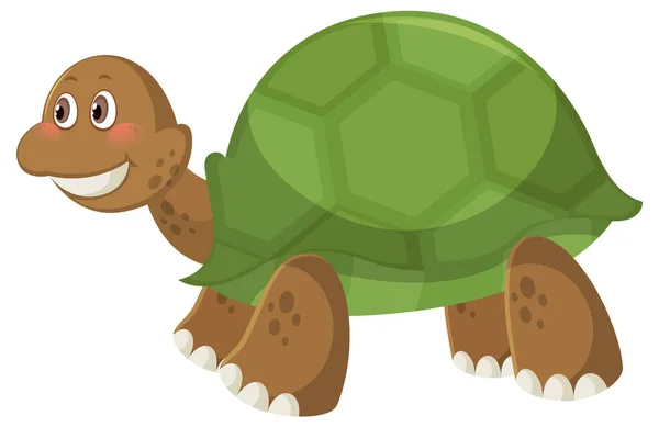 Leuke Eenvoudige Schildpad Cartoon Witte Achtergrond Illustratie — Stockvector
