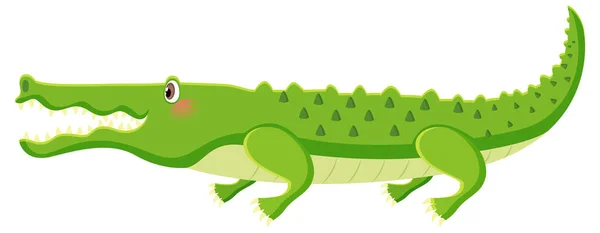 Söt Krokodil Tecknad Karaktär Isolerad Illustration — Stock vektor