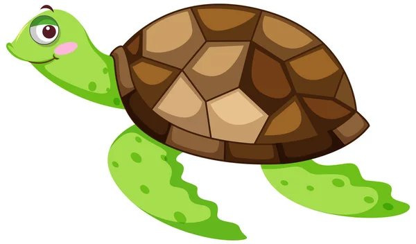 Turtle Cartoon Character Illustration — Stock Vector