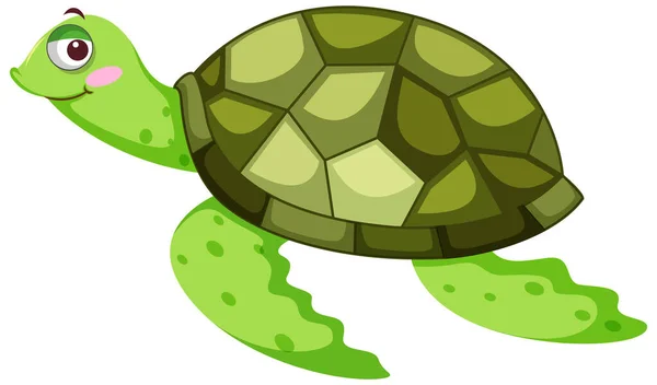 Groene Schildpad Stripfiguur Illustratie — Stockvector