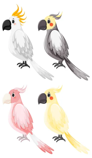 卡通风格插图中的一组不同的驾驶舱鸟 — 图库矢量图片