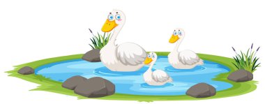 Beyaz arkaplandaki gölde ördek resmi