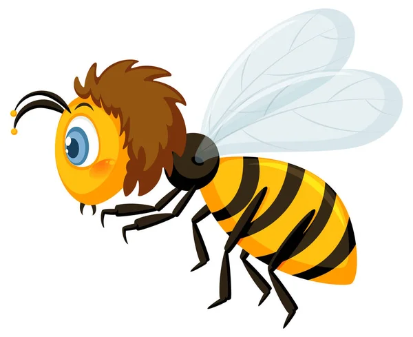 Boční Pohled Včelu Kresleném Stylu Ilustrace — Stockový vektor