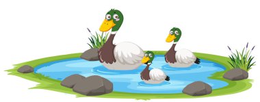 Beyaz arkaplandaki gölde ördek resmi