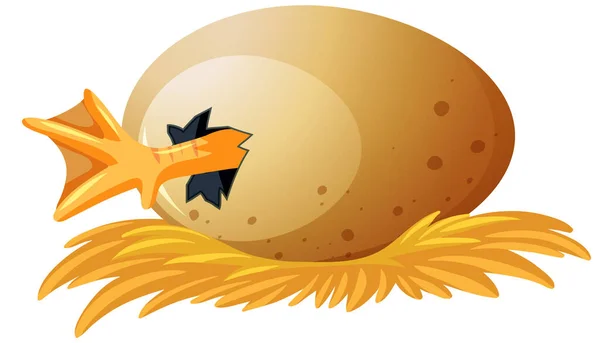 Ilustração Isolada Ovo Pato Para Incubação — Vetor de Stock