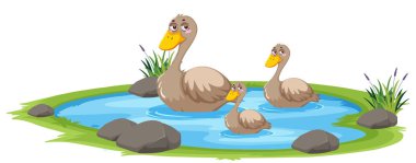 Beyaz arkaplandaki gölde ördek resmi