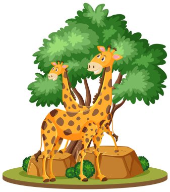 Giraffe in nature on white background illustration
