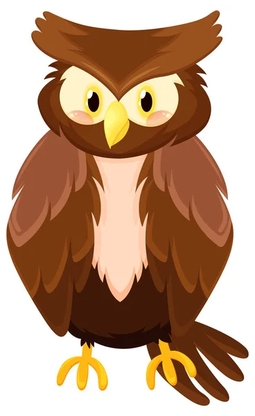 Brown Owl Bird Cartoon Style Illustration — Stock Vector
