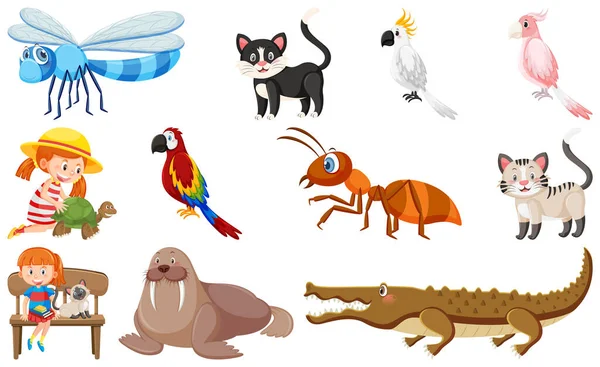 Állítsa Különböző Vadon Élő Állatok Rajzfilm Stílusú Illusztráció — Stock Vector