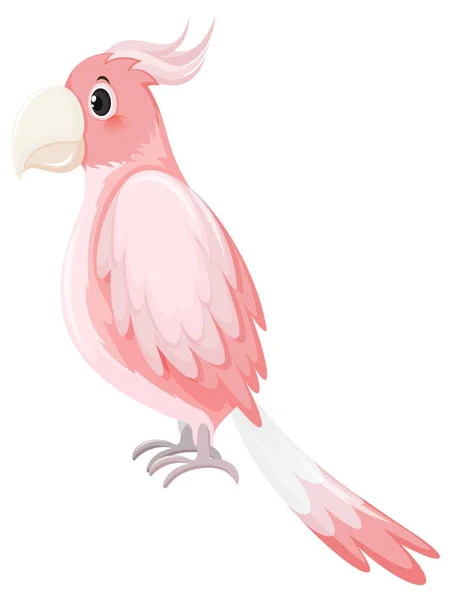 漫画風イラストのピンクのコカトゥー鳥 — ストックベクタ