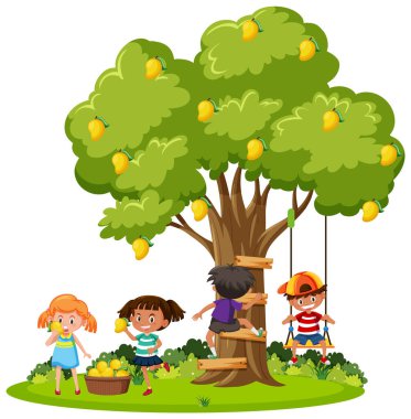 Çocuklar ağaç resimlerinden mango topluyor.