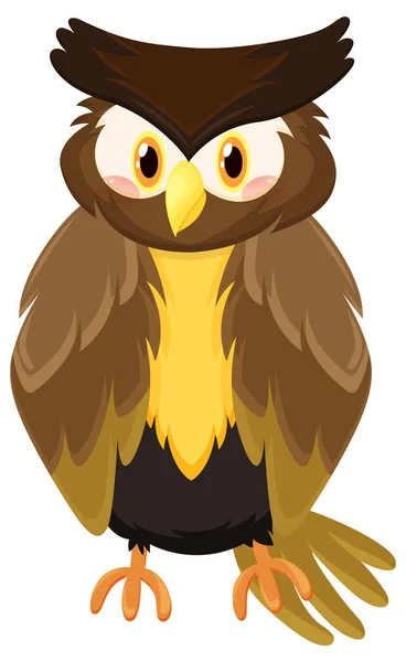 Brown Owl Bird Cartoon Style Illustration — стоковий вектор