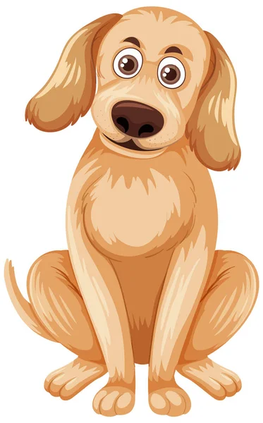 Golden Retriever Cão Isolado Ilustração —  Vetores de Stock