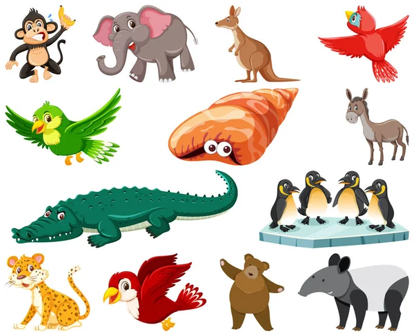 Set Various Animals Cartoon Illustration — 스톡 벡터