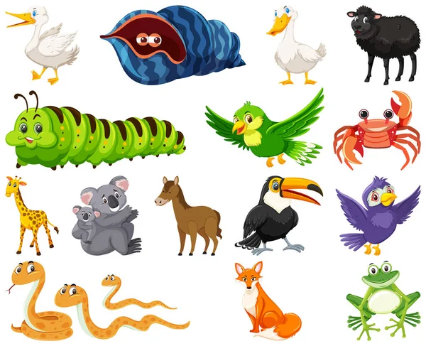 Set Various Animals Cartoon Illustration — Vetor de Stock
