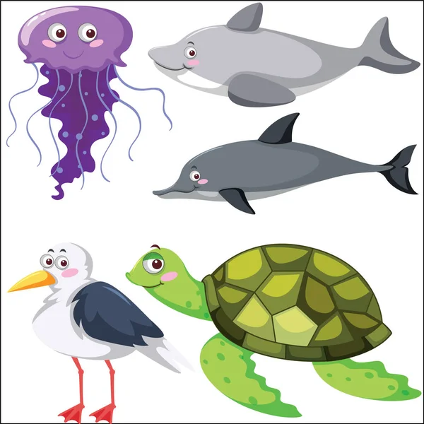 Набор Иллюстраций Морских Животных — стоковый вектор