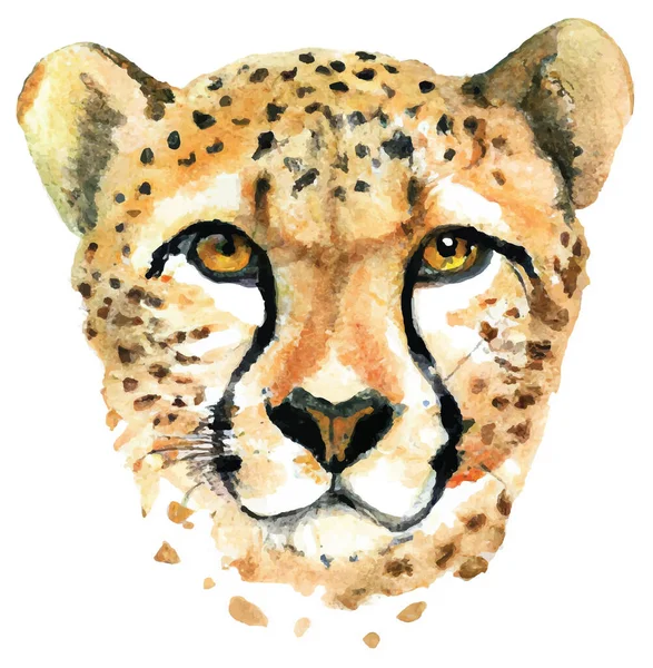 Portrait Cheetah Watercolor Style Illustration — Stock Vector