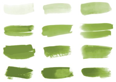 Set of watercolor green brush stroke illustration