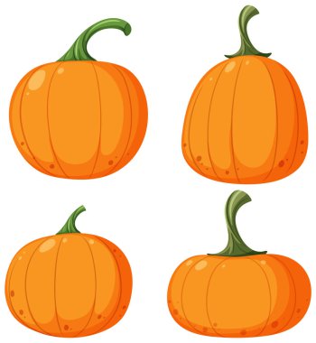 Set of pumpkin on white background illustration