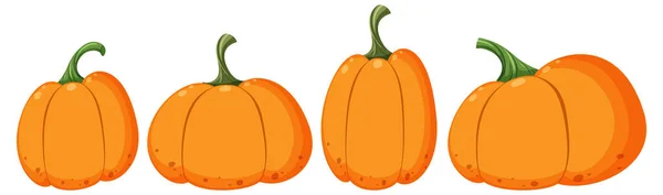Set Different Pumpkin Shapes Illustration — Stockvector