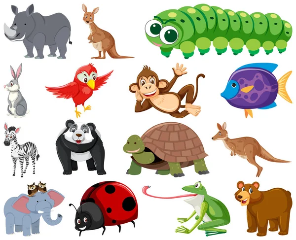 Set Various Animals Cartoon Illustration — Vetor de Stock