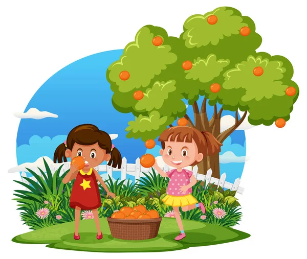Bambini Raccolta Arancione All Aperto Scena Isolato Illustrazione — Vettoriale Stock
