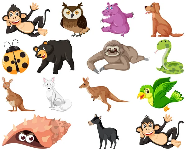 Set Various Animals Cartoon Illustration — Stock vektor