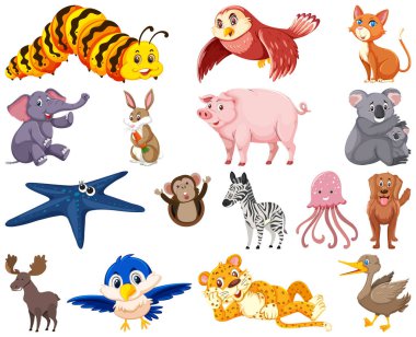 Set of various animals cartoon illustration