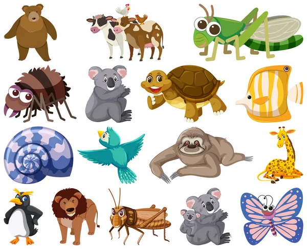 Set Various Animals Cartoon Illustration —  Vetores de Stock