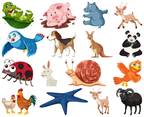 Set Various Animals Cartoon Illustration — Archivo Imágenes Vectoriales
