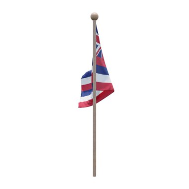 Hawaii 3d illustration flag on pole. Wood flagpole