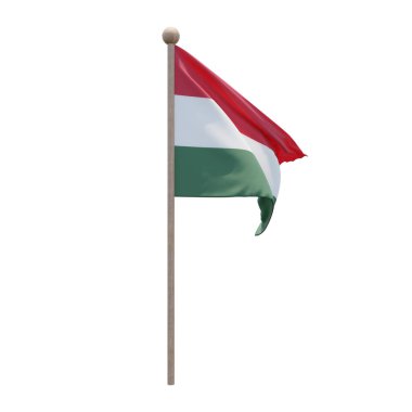 Hungary 3d illustration flag on pole. Wood flagpole