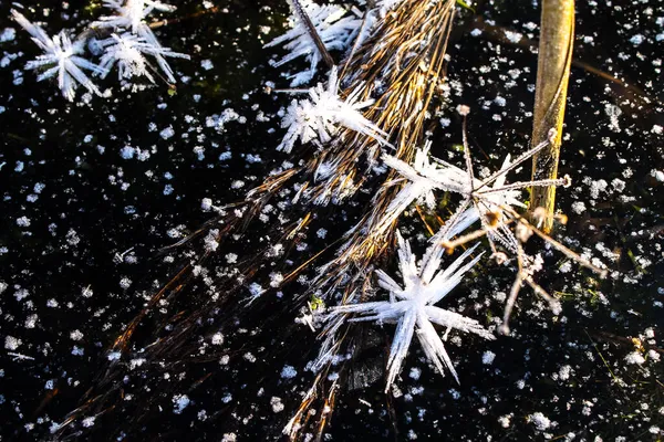 Ledový Povrch Mrazivými Krystaly Podobě Hvězdy — Stock fotografie