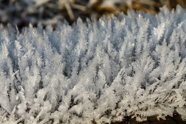 Grandes Cristales Escarcha Formados Superficie Madera — Foto de Stock