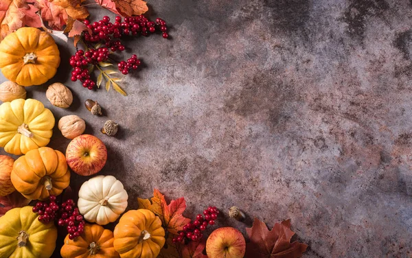 カボチャと暗い石の背景に季節の秋の装飾と感謝祭の背景コンセプト トップビュー コピースペース — ストック写真