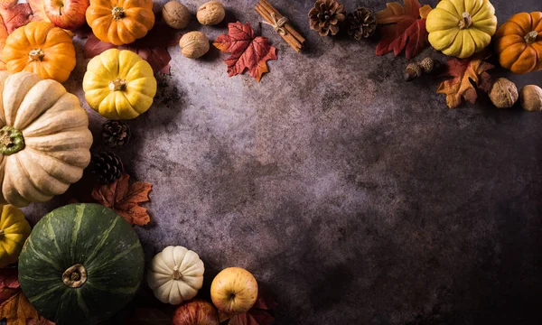 カボチャと暗い石の背景に季節の秋の装飾と感謝祭の背景コンセプト — ストック写真