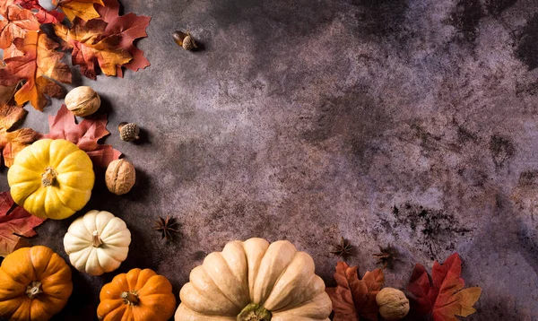 Ημέρα Των Ευχαριστιών Έννοια Υποβάθρου Φθινοπωρινά Φύλλα Κολοκύθα Και Εποχιακή — Φωτογραφία Αρχείου