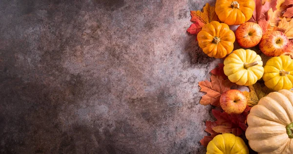 Φθινόπωρο Και Ευχαριστία Διακόσμηση Φόντο Έννοια Φθινοπωρινά Φύλλα Κολοκύθα Και — Φωτογραφία Αρχείου