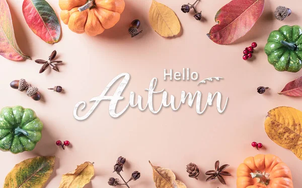 Podzimní Dekorace Suchého Listí Dýně Pastelovém Papíře Pozadí Flat Lay — Stock fotografie