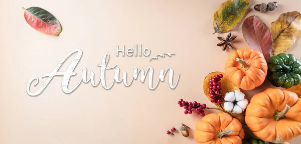Herbst Hintergrunddekor Aus Trockenen Blättern Und Kürbis Auf Pastellpapier Hintergrund — Stockfoto