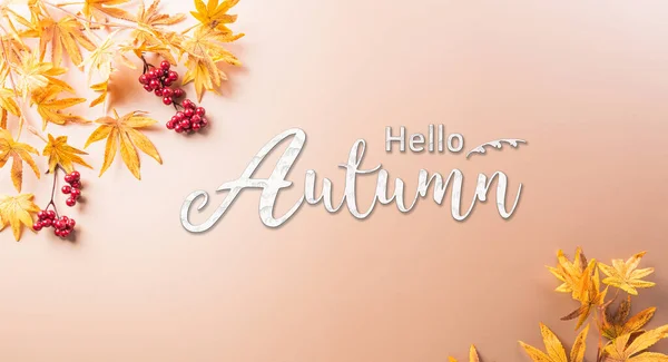 Autumn Thanksgiving Decoration Concept Made Autumn Leaves Berry Pumpkin Dark — Stockfoto